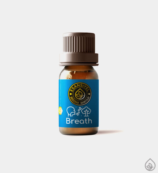 Breath Oda Kokusu - Difüzör (4 Seçenek)