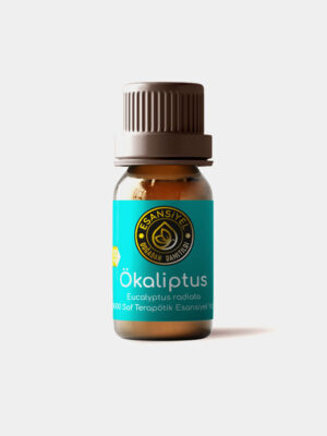okaliptus1 Ökaliptus Yağı 10&50 mL