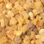Akgünlük (Frankincense) Uçucu Yağı