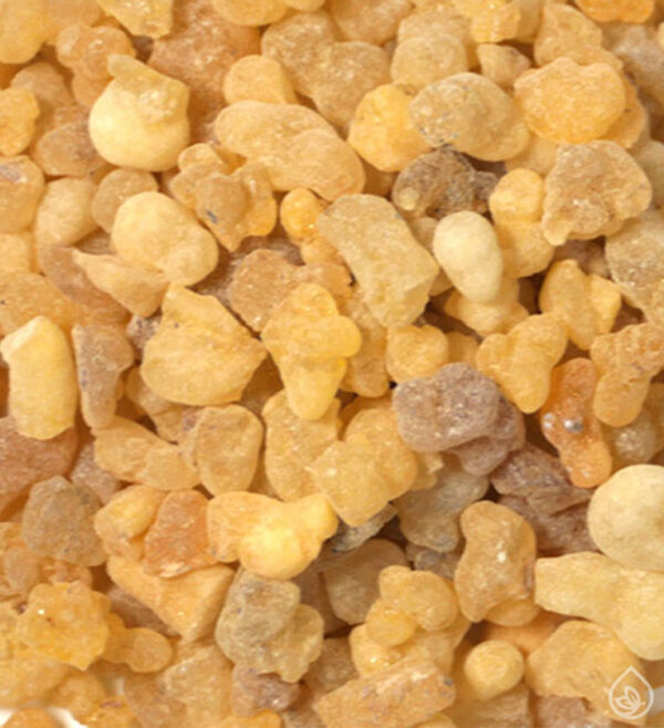 Akgünlük (Frankincense) Uçucu Yağı (2 Seçenek)